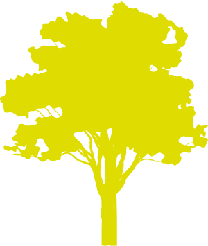 arbre jaune